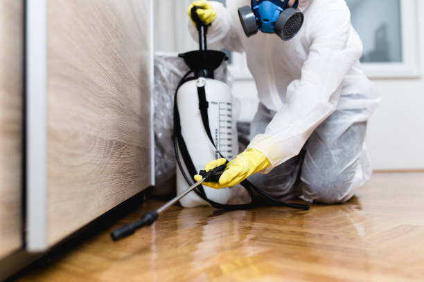 Best Commercial Pest Control Services  in Rockport, IN