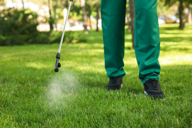 Best Pest Inspection Near Me  in Rockport, IN