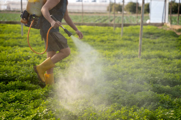 Best Mosquito Control Services  in Rockport, IN