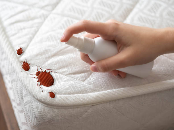 Best Pest Control Treatment  in Rockport, IN