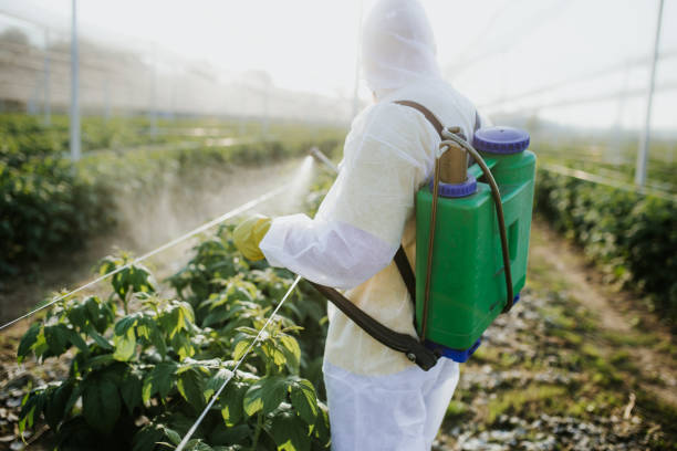 Best Affordable Pest Control Services  in Rockport, IN